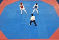 Kontingen Provinsi Banten Cabang Olahraga (cabor) Taekwondo pada  Pekan Olahraga Pelajar Nasional (Popnas) XVI Palembang Tahun 2023 raih 5 medali. 