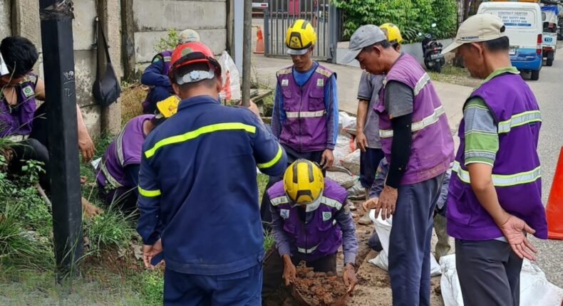 foto slider headline