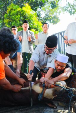 berita-rekomendasi-foto