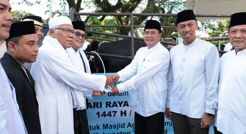 foto slider headline