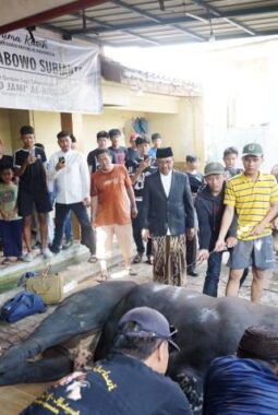 berita-rekomendasi-foto