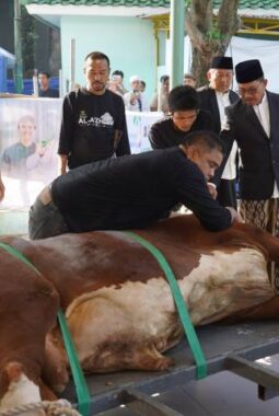 berita-rekomendasi-foto