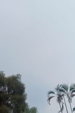 berita-rekomendasi-foto